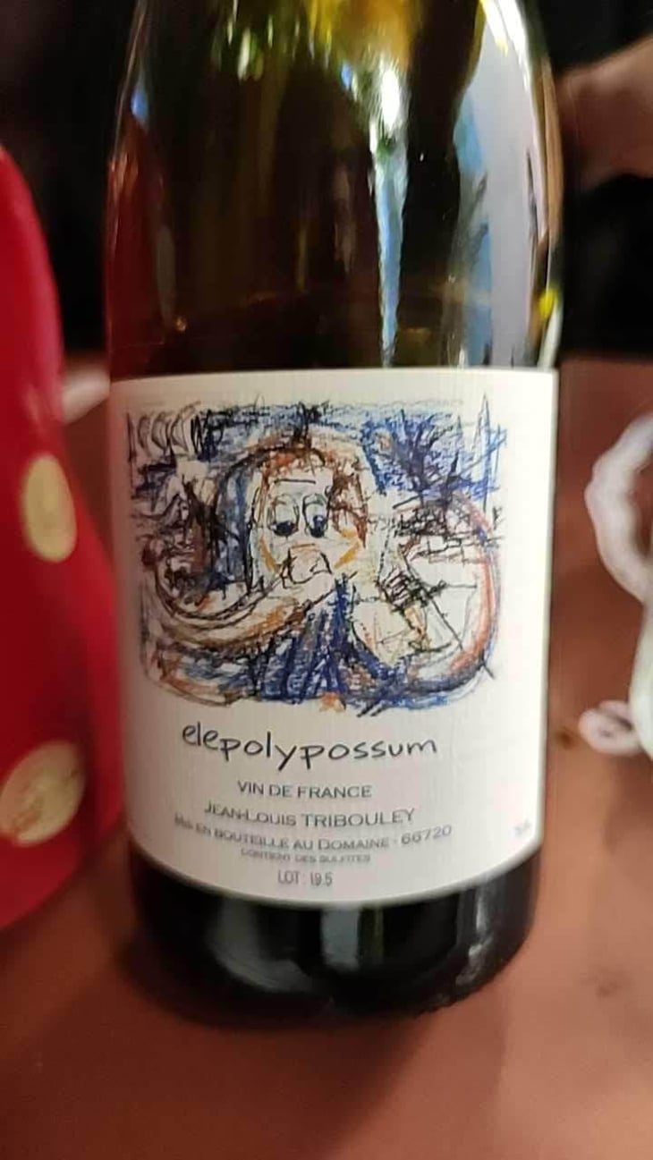 Elepolypossum - Tribouley - Jean-Louis Tribouley 