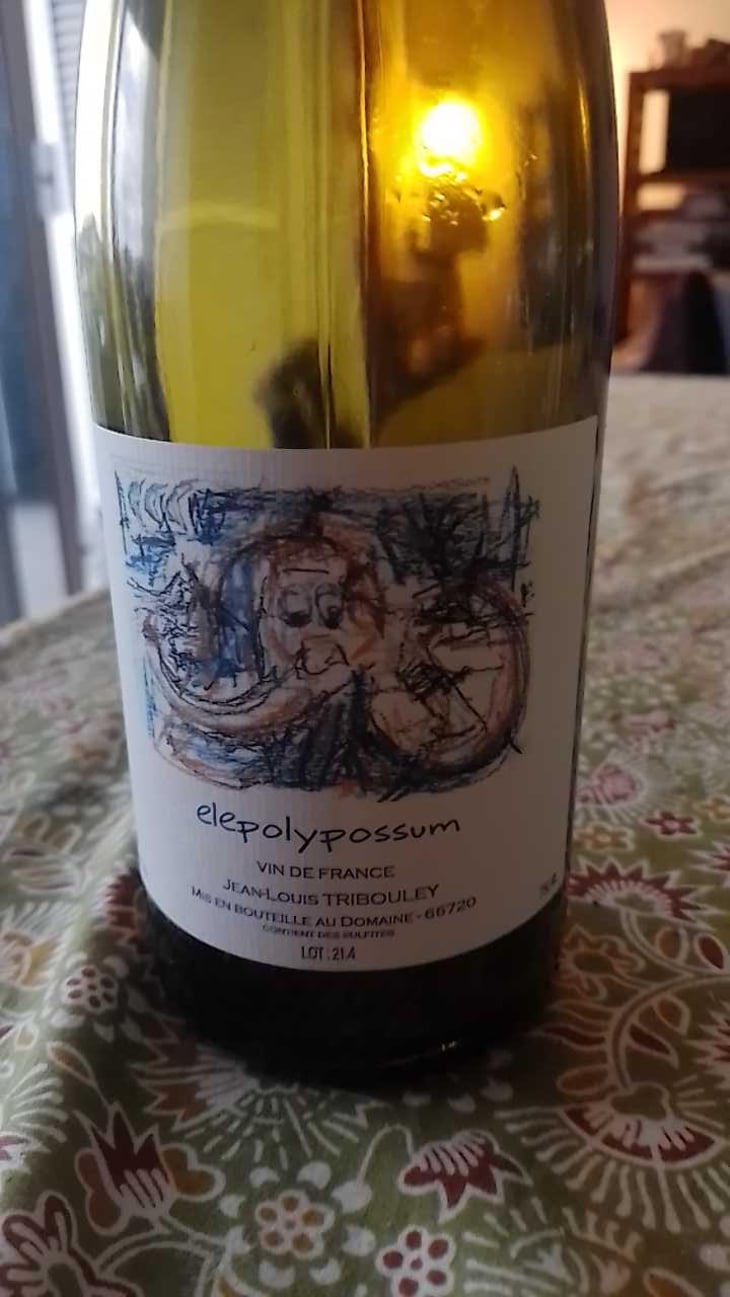 Elepolypossum - Tribouley - Jean-Louis Tribouley 