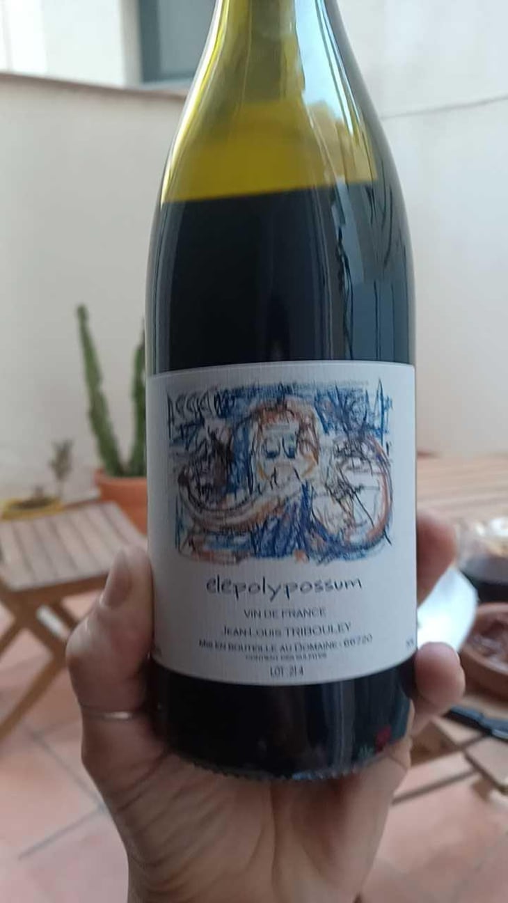Elepolypossum - Tribouley - Jean-Louis Tribouley 