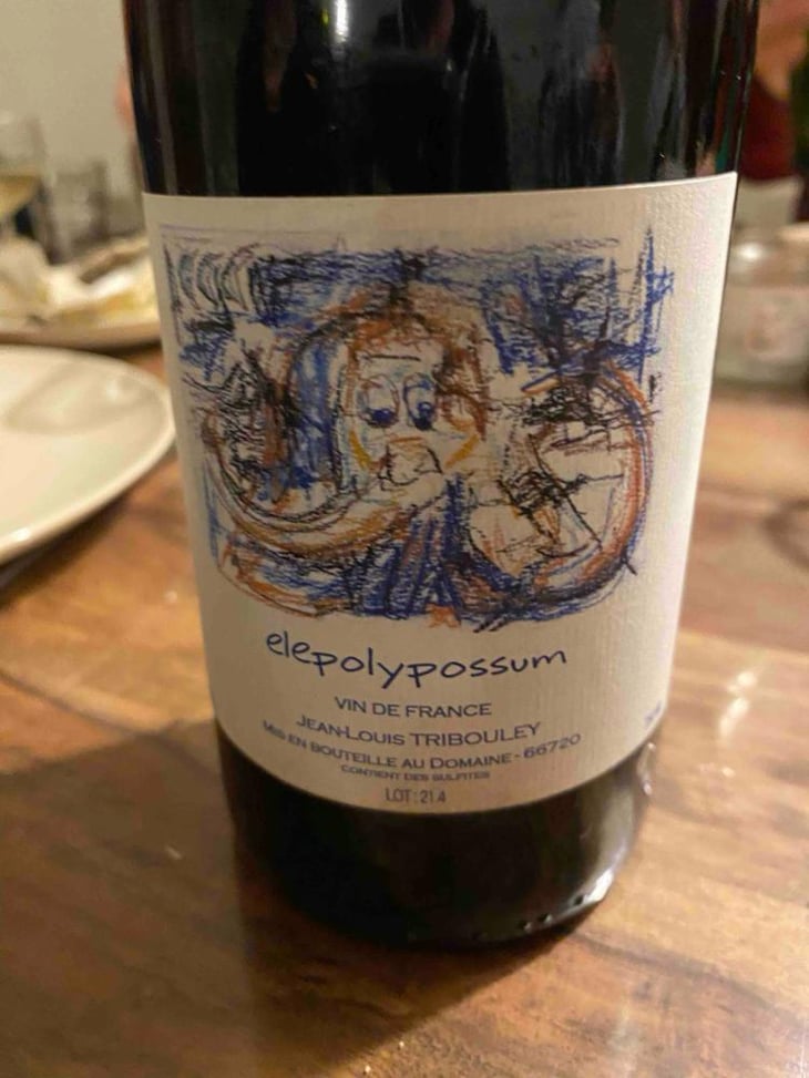 Elepolypossum - Tribouley - Jean-Louis Tribouley 