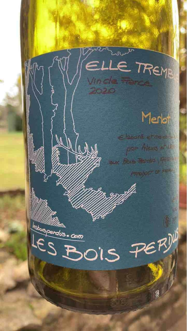 Elle Tremble - Les Bois Perdus - Léna Perdu & Alexis Robin 