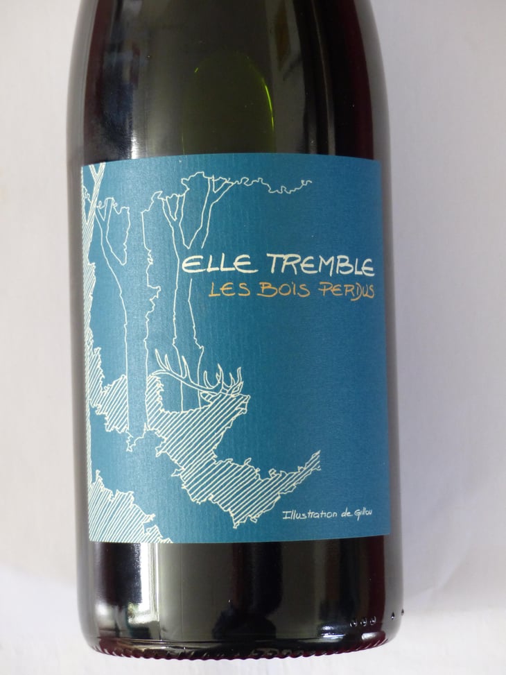 Elle Tremble - Les Bois Perdus - Léna Perdu & Alexis Robin 