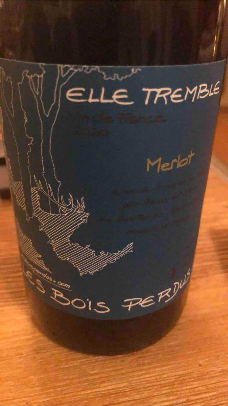 Elle Tremble - Les Bois Perdus - Léna Perdu & Alexis Robin 