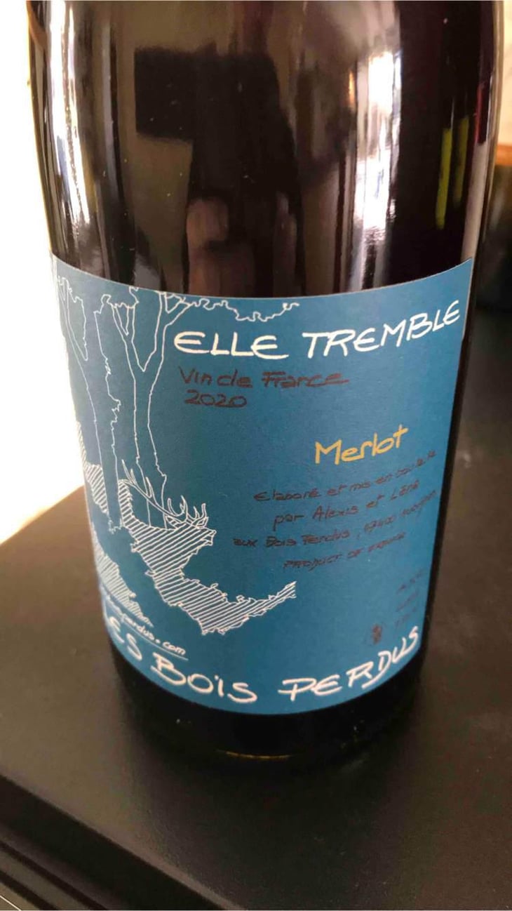 Elle Tremble - Les Bois Perdus - Léna Perdu & Alexis Robin 