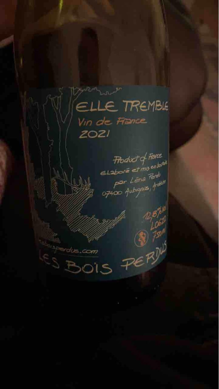 Elle Tremble - Les Bois Perdus - Léna Perdu & Alexis Robin 