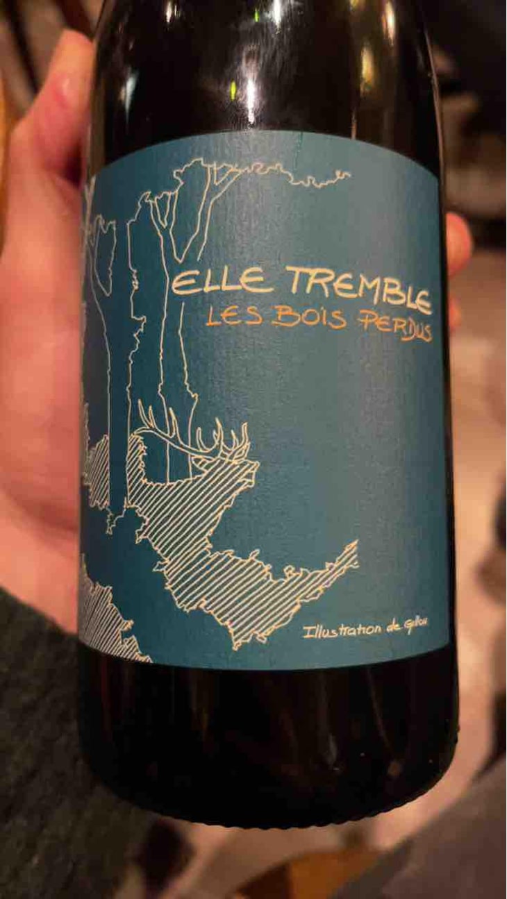 Elle Tremble - Les Bois Perdus - Léna Perdu & Alexis Robin 
