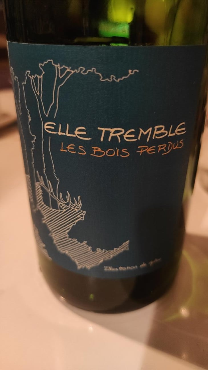 Elle Tremble - Les Bois Perdus - Léna Perdu & Alexis Robin 