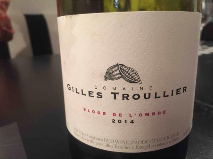 Éloge De L’ombre - Gilles Troullier - Gilles Troullier 