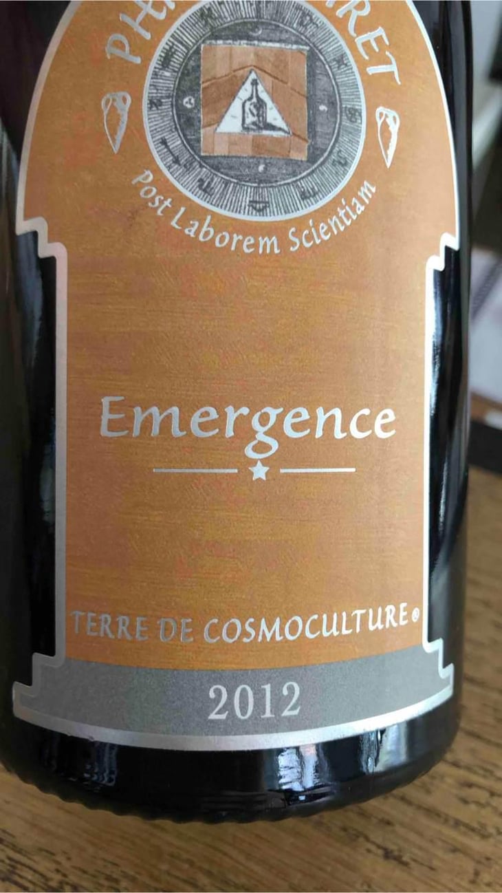 Émergence - Viret - Philippe & Alain Viret 