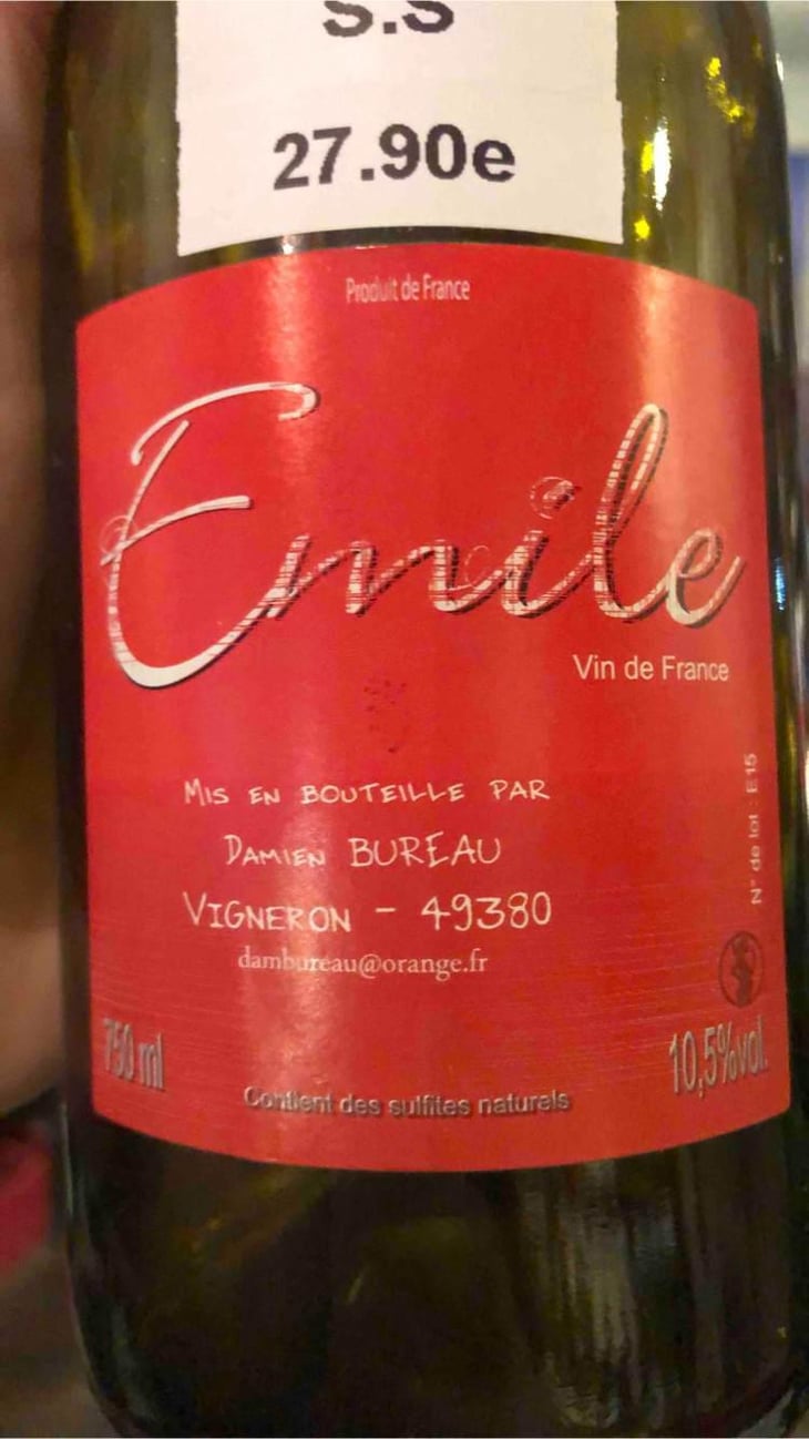 Emile - Damien Bureau - Damien Bureau -2015