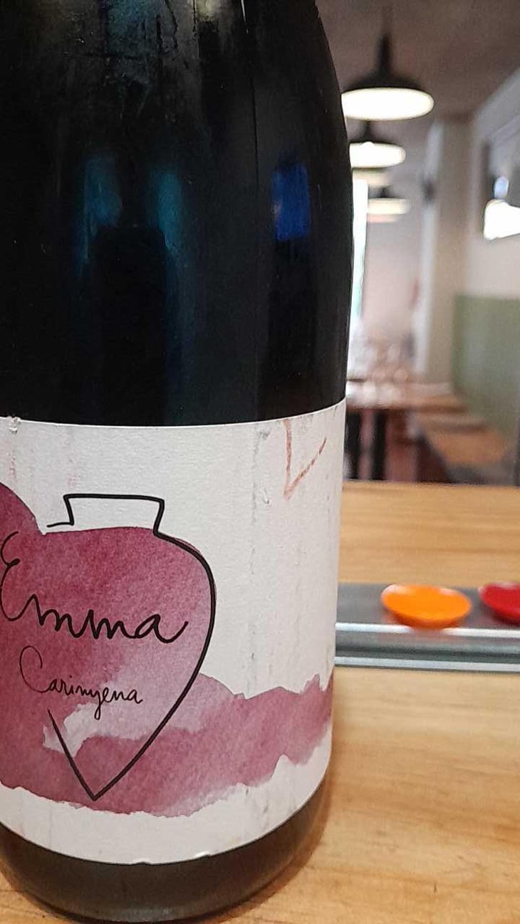 Emma Carinyena - Vega Aixalà - Eva Aixalà -2018