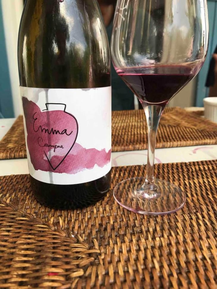 Emma Carinyena - Vega Aixalà - Eva Aixalà -2018
