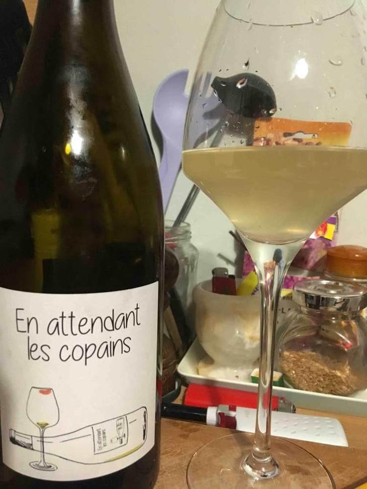En Attendant les Copains (blanc) - Domaine du Petit Oratoire - Lori Haon 
