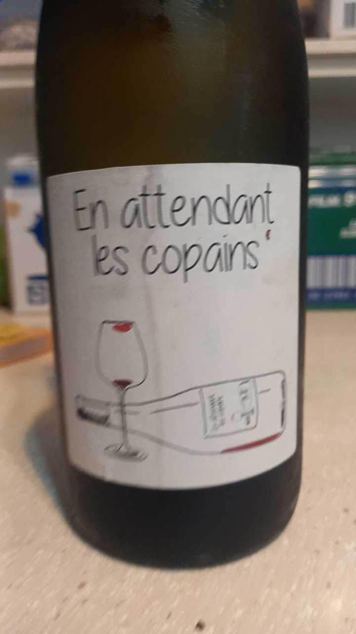 En Attendant les Copains (blanc) - Domaine du Petit Oratoire - Lori Haon 