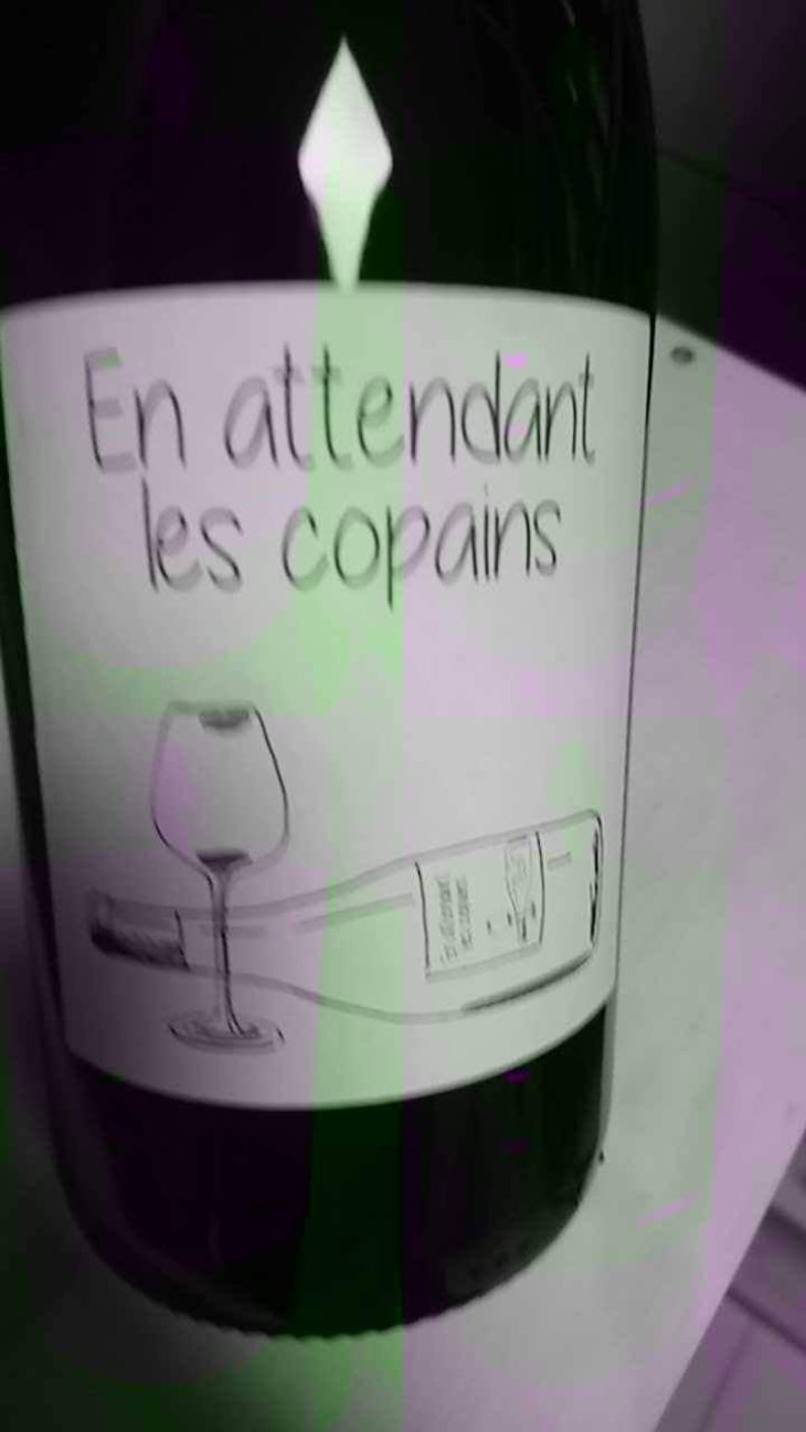 En Attendant les Copains (blanc) - Domaine du Petit Oratoire - Lori Haon 