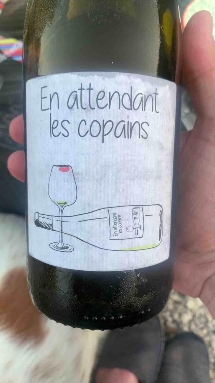 En Attendant les Copains (blanc) - Domaine du Petit Oratoire - Lori Haon 