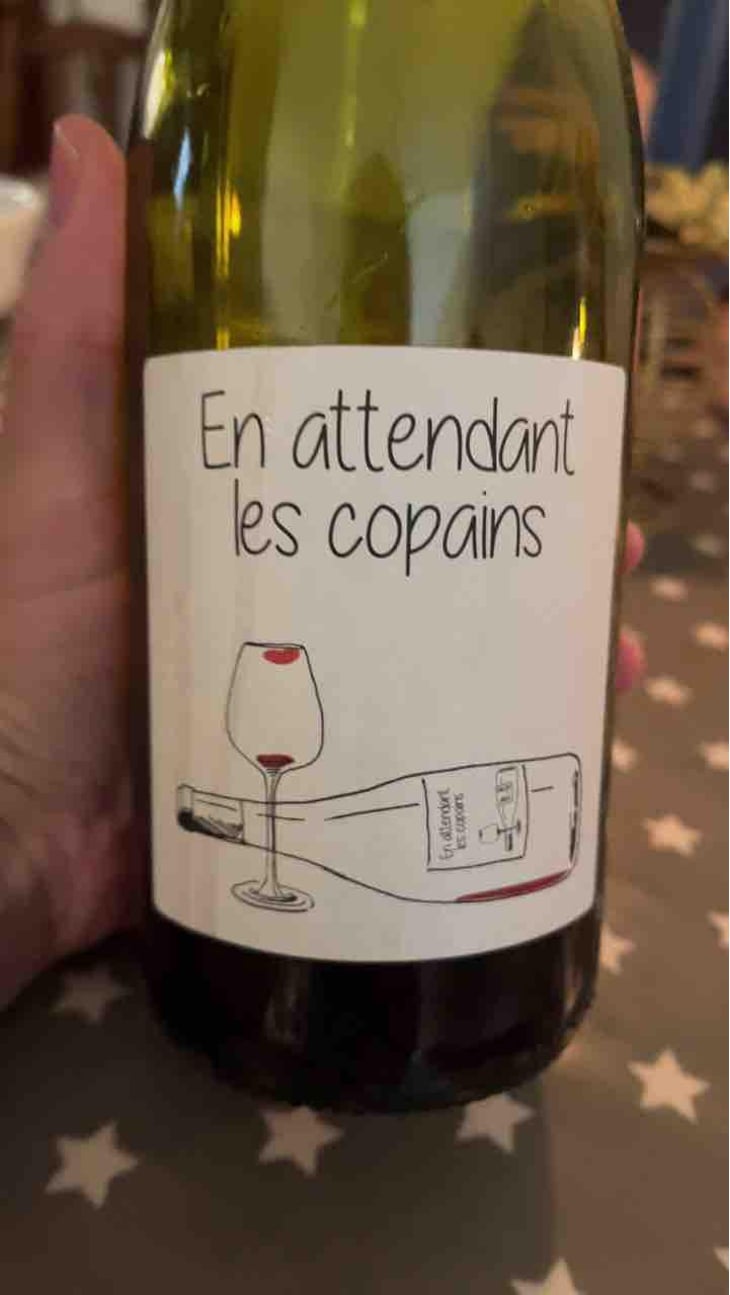 En attendant les copains (rouge) - Domaine du Petit Oratoire - Lori Haon 