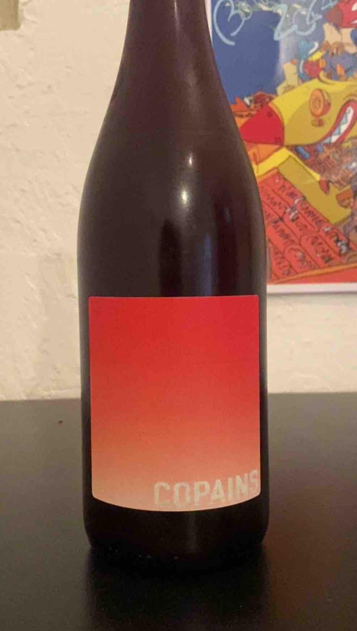 En attendant les copains (rouge) - Domaine du Petit Oratoire - Lori Haon 