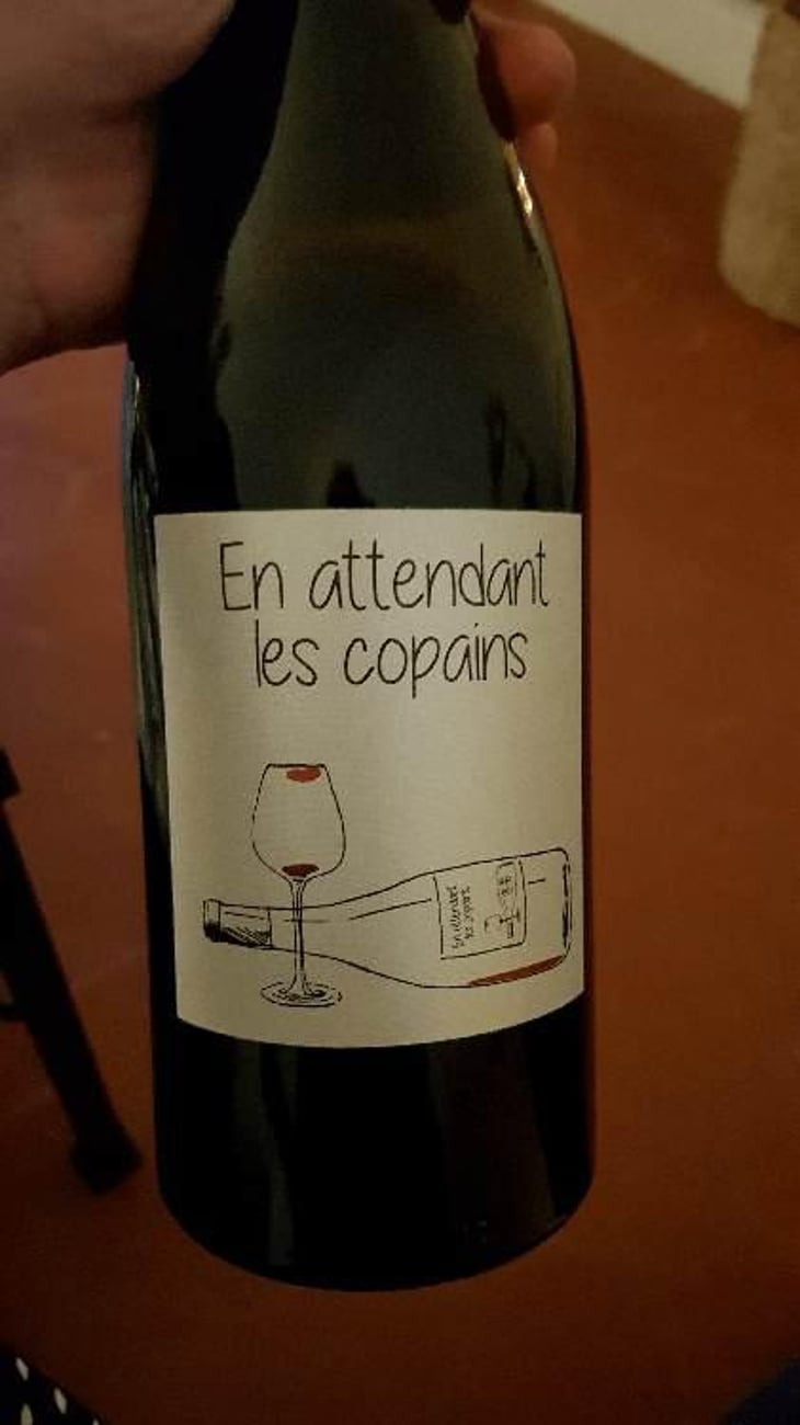 En attendant les copains (rouge) - Domaine du Petit Oratoire - Lori Haon 