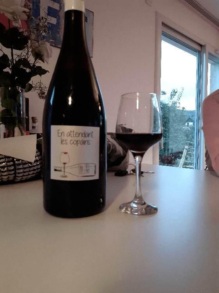 En attendant les copains (rouge) - Domaine du Petit Oratoire - Lori Haon 
