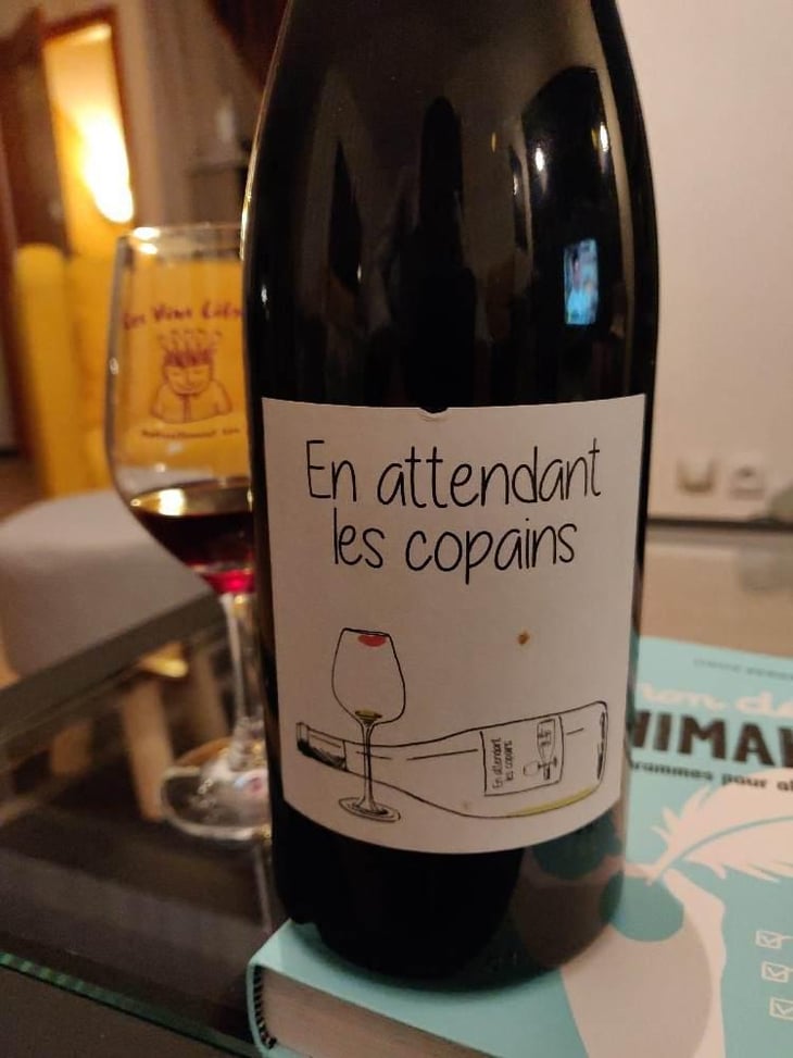 En attendant les copains (rouge) - Domaine du Petit Oratoire - Lori Haon 