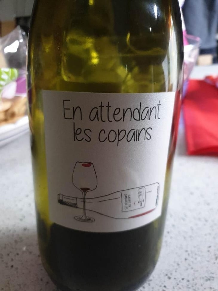 En attendant les copains (rouge) - Domaine du Petit Oratoire - Lori Haon 