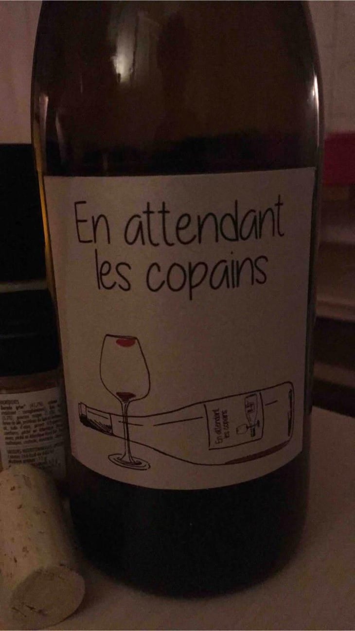 En attendant les copains (rouge) - Domaine du Petit Oratoire - Lori Haon 