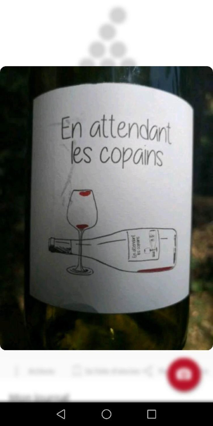 En attendant les copains (rouge) - Domaine du Petit Oratoire - Lori Haon 