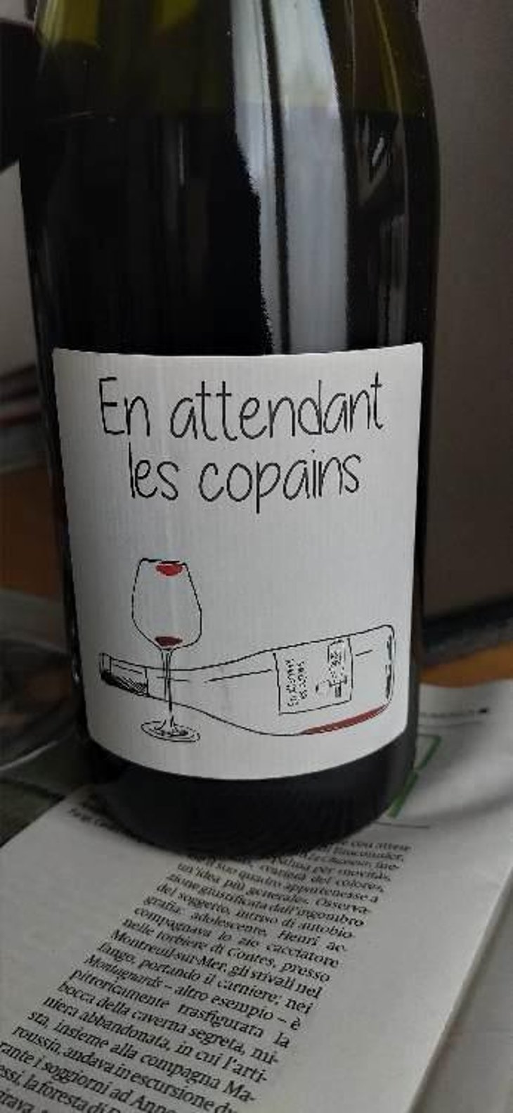 En attendant les copains (rouge) - Domaine du Petit Oratoire - Lori Haon 
