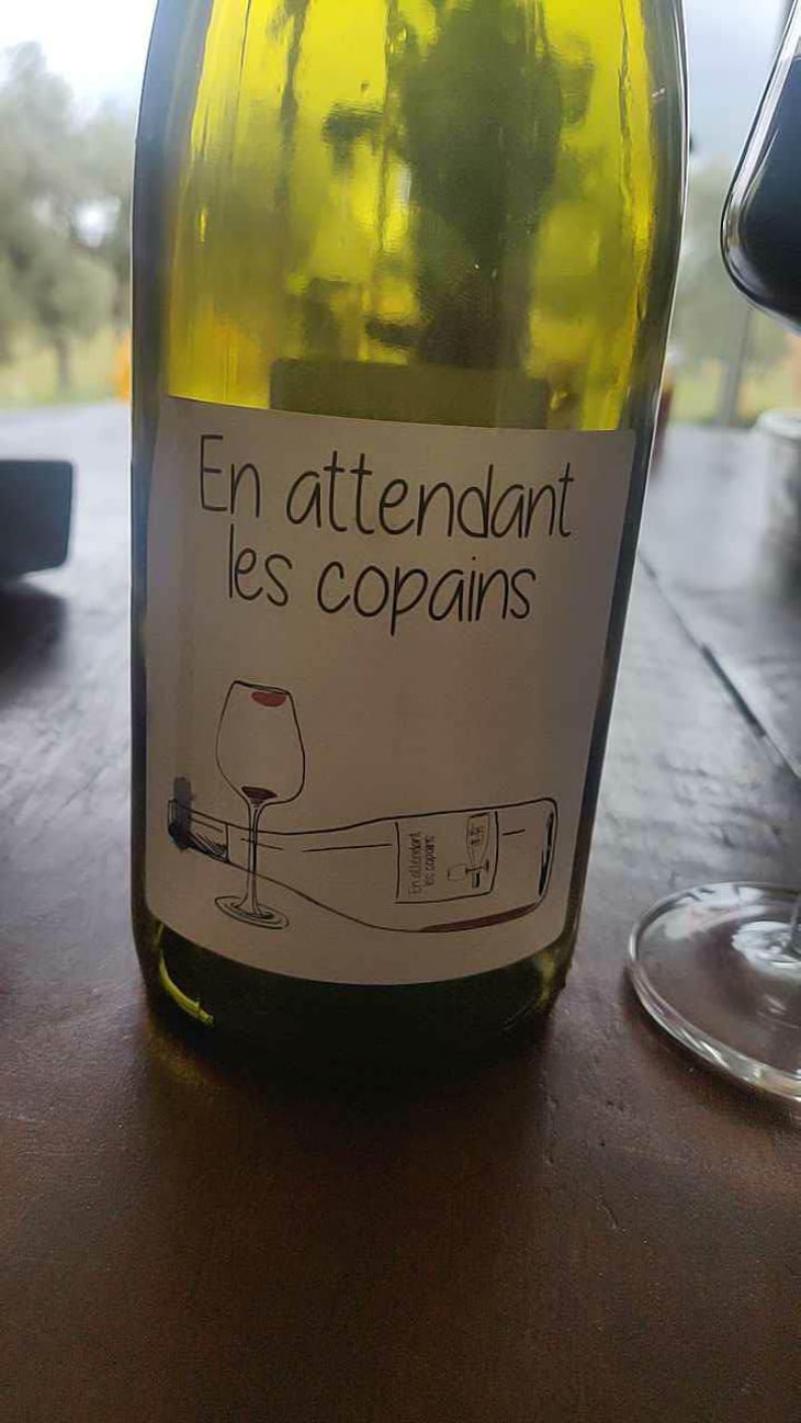 En attendant les copains (rouge) - Domaine du Petit Oratoire - Lori Haon 
