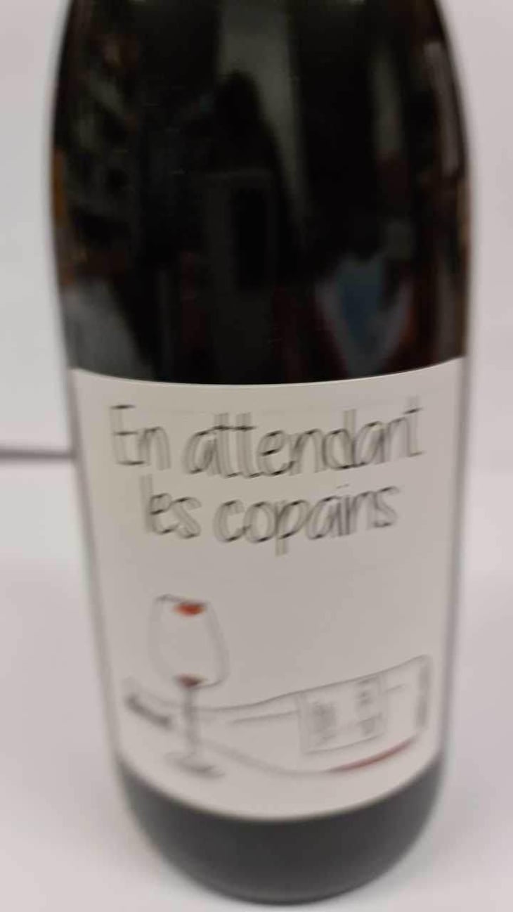 En attendant les copains (rouge) - Domaine du Petit Oratoire - Lori Haon 