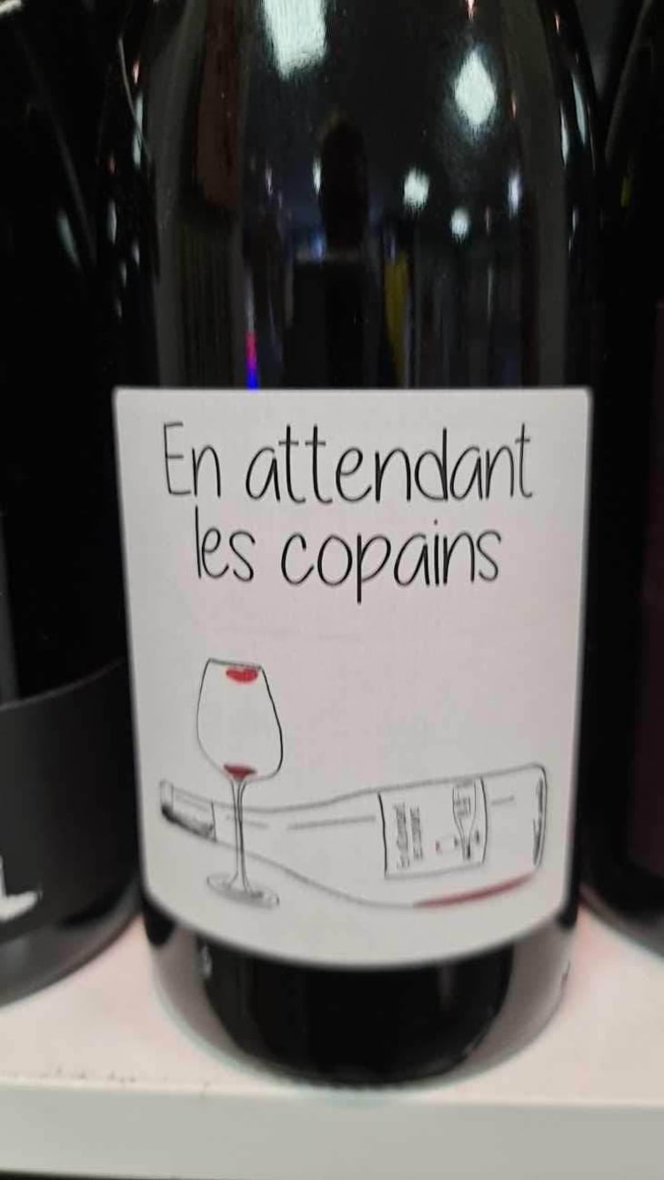 En attendant les copains (rouge) - Domaine du Petit Oratoire - Lori Haon 