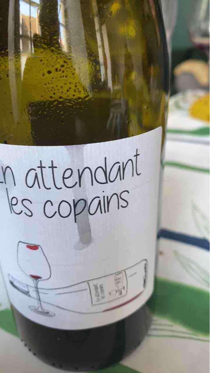 En attendant les copains (rouge) - Domaine du Petit Oratoire - Lori Haon 