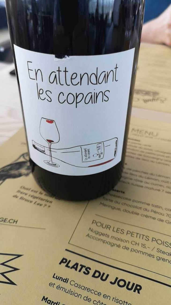 En attendant les copains (rouge) - Domaine du Petit Oratoire - Lori Haon 
