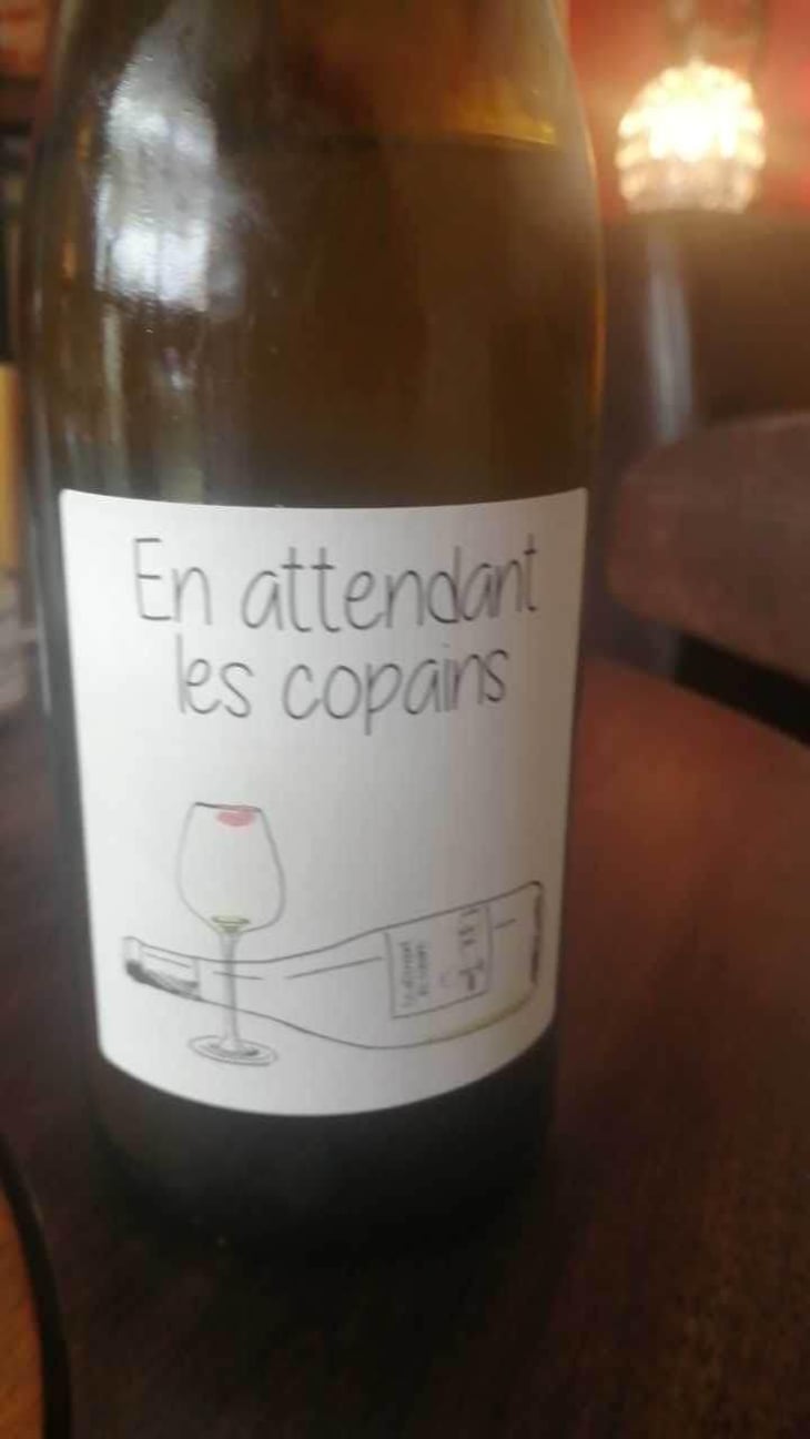 En attendant les copains (rouge) - Domaine du Petit Oratoire - Lori Haon 