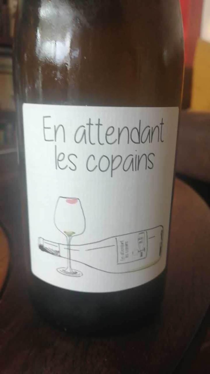 En attendant les copains (rouge) - Domaine du Petit Oratoire - Lori Haon 