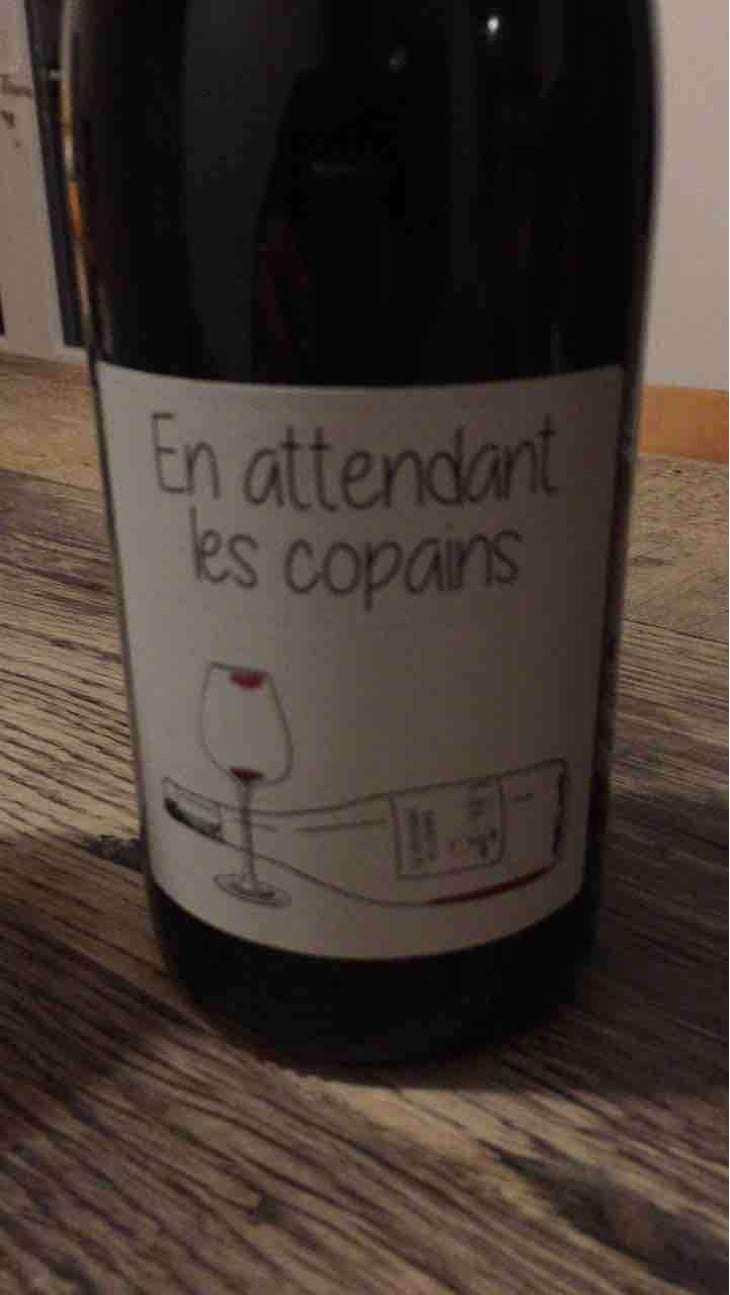 En attendant les copains (rouge) - Domaine du Petit Oratoire - Lori Haon 