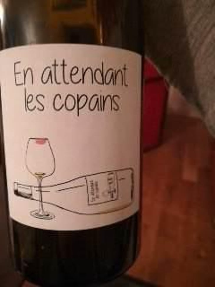 En attendant les copains (rouge) - Domaine du Petit Oratoire - Lori Haon 