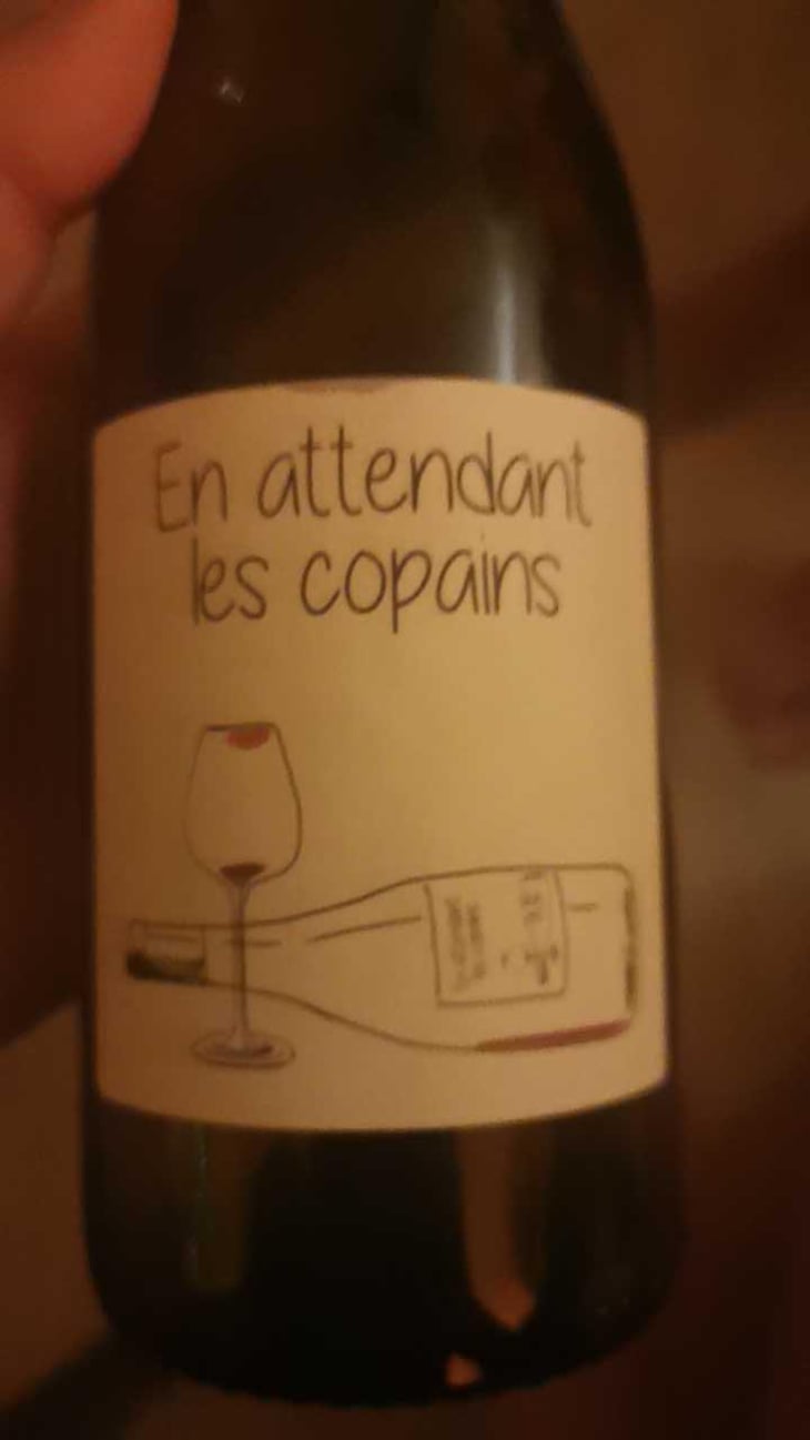 En attendant les copains (rouge) - Domaine du Petit Oratoire - Lori Haon 