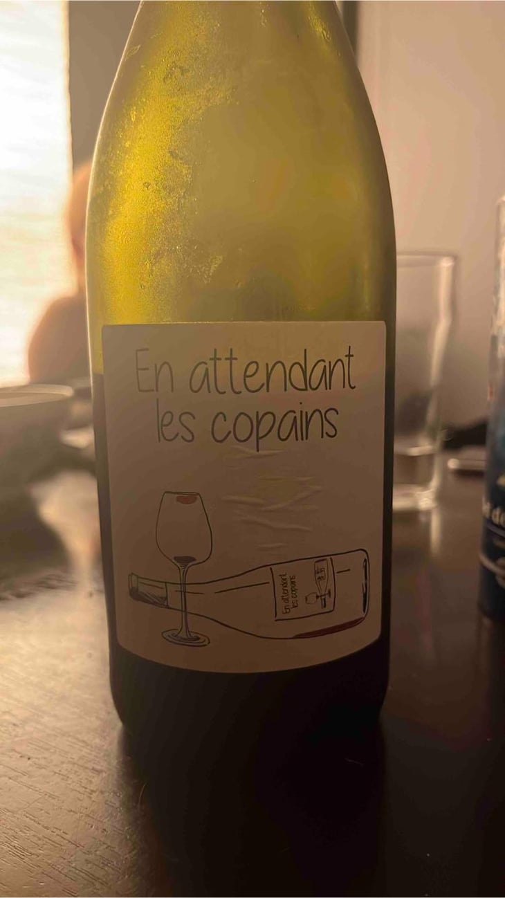 En attendant les copains (rouge) - Domaine du Petit Oratoire - Lori Haon 