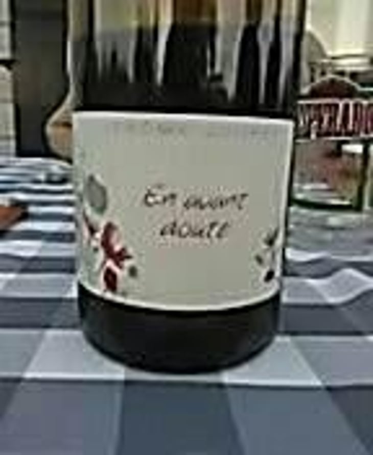 En Avant Doute - Jérome Jouret - Jérôme Jouret 