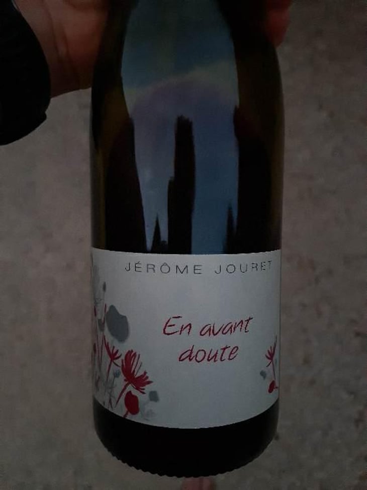 En Avant Doute - Jérome Jouret - Jérôme Jouret 