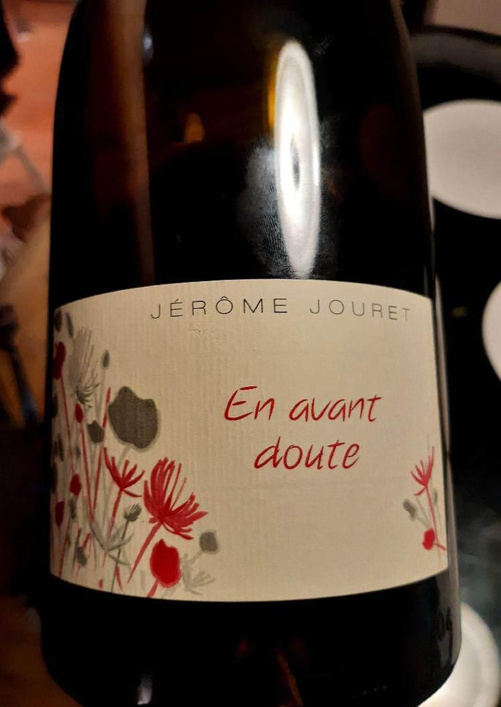 En Avant Doute - Jérome Jouret - Jérôme Jouret 