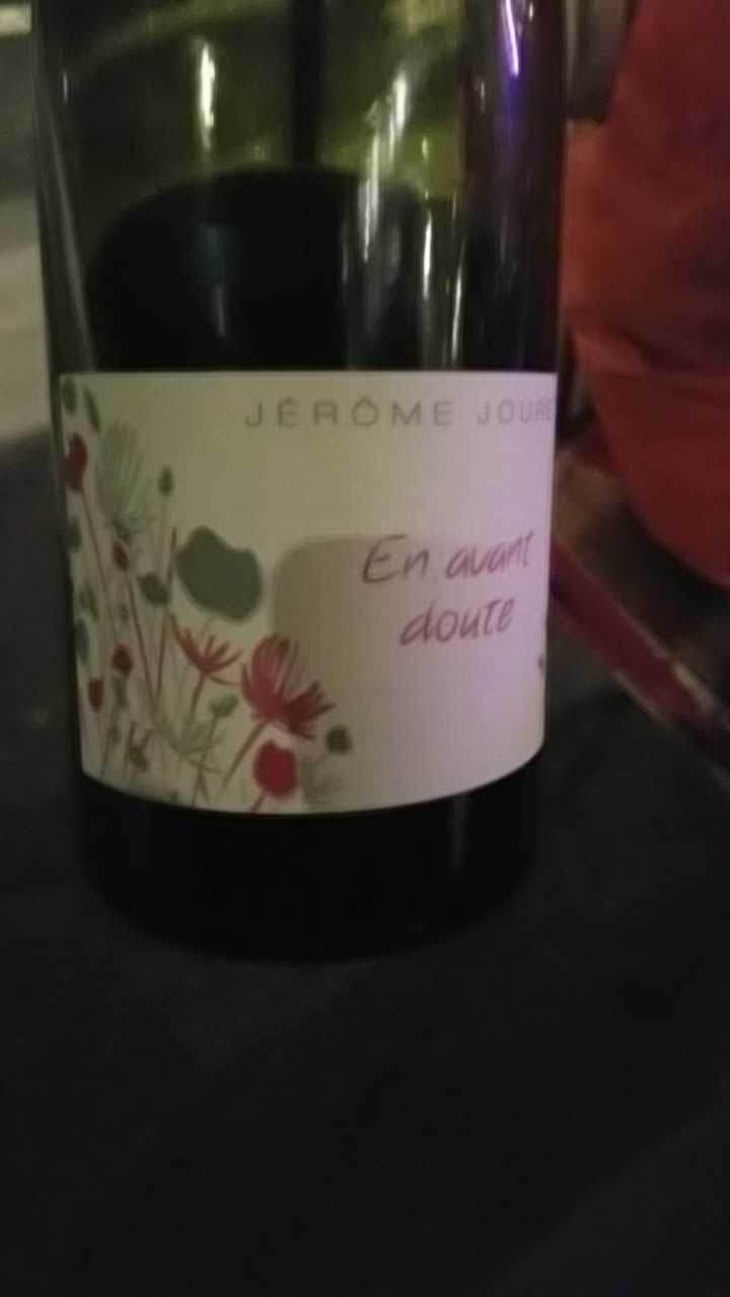 En Avant Doute - Jérome Jouret - Jérôme Jouret 