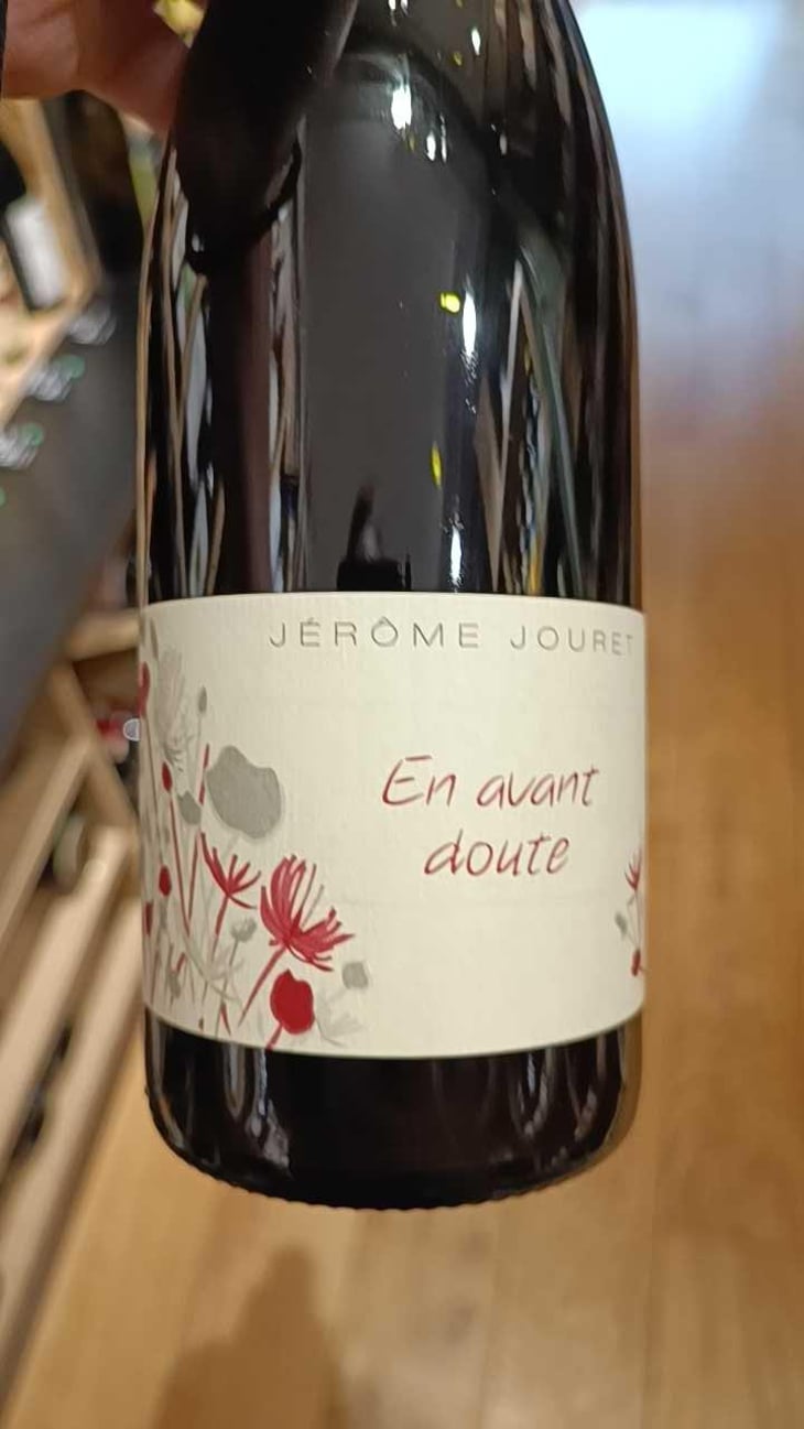 En Avant Doute - Jérome Jouret - Jérôme Jouret 