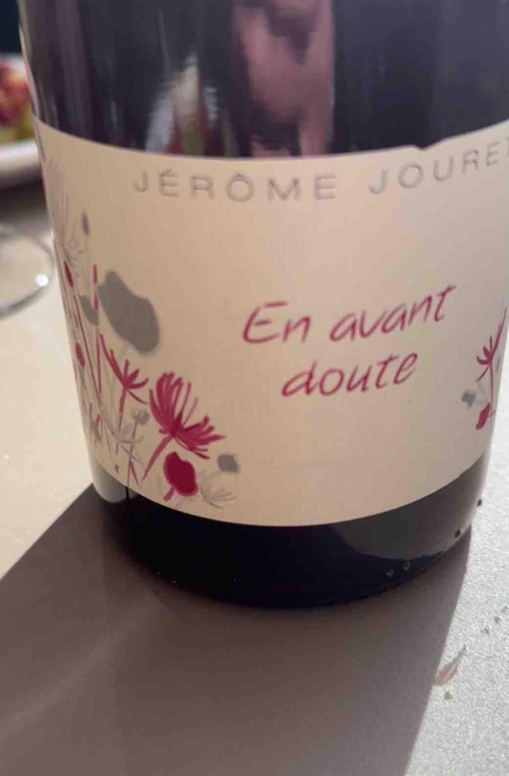 En Avant Doute - Jérome Jouret - Jérôme Jouret 