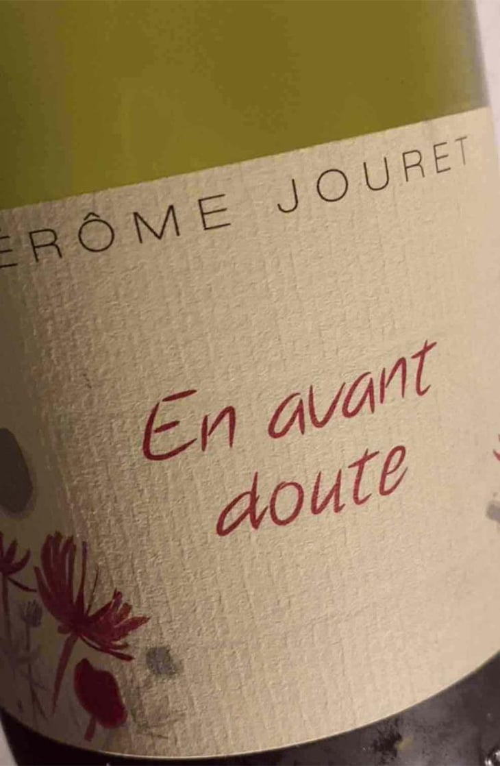 En Avant Doute - Jérome Jouret - Jérôme Jouret 