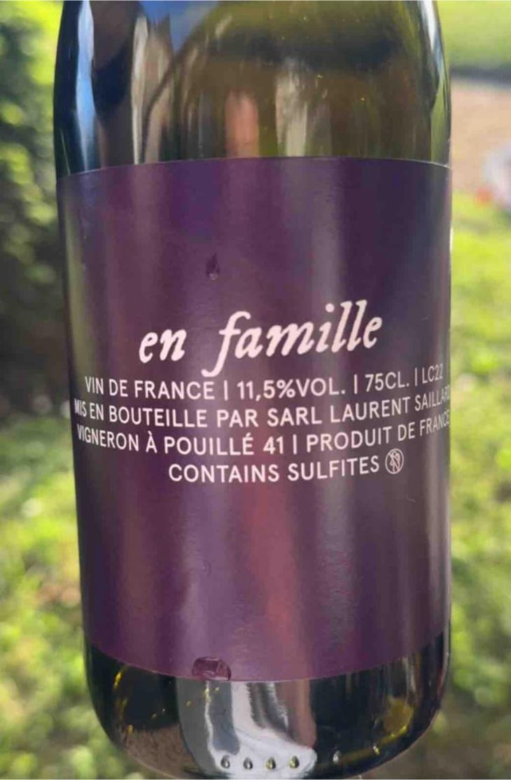 En famille - Laurent Saillard - Laurent Saillard -2023
