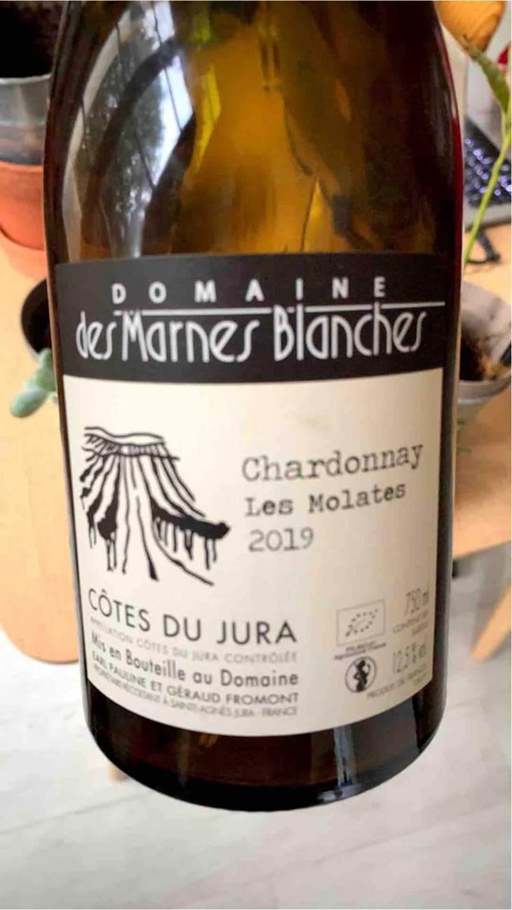 En Quatre Vis Savagnin - Domaine Des Marnes Blanches - Pauline & Géraud Fromont 