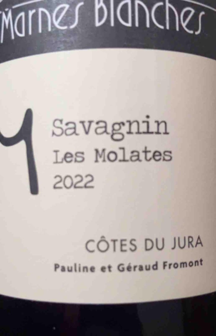 En Quatre Vis Savagnin - Domaine Des Marnes Blanches - Pauline & Géraud Fromont 